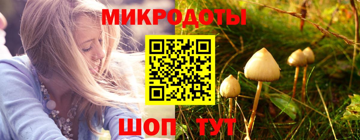 Псилоцибиновые грибы прущие грибы  Галлюциногенные грибы GOLDEN TEACHER  Вход с VPN  Ревда 
